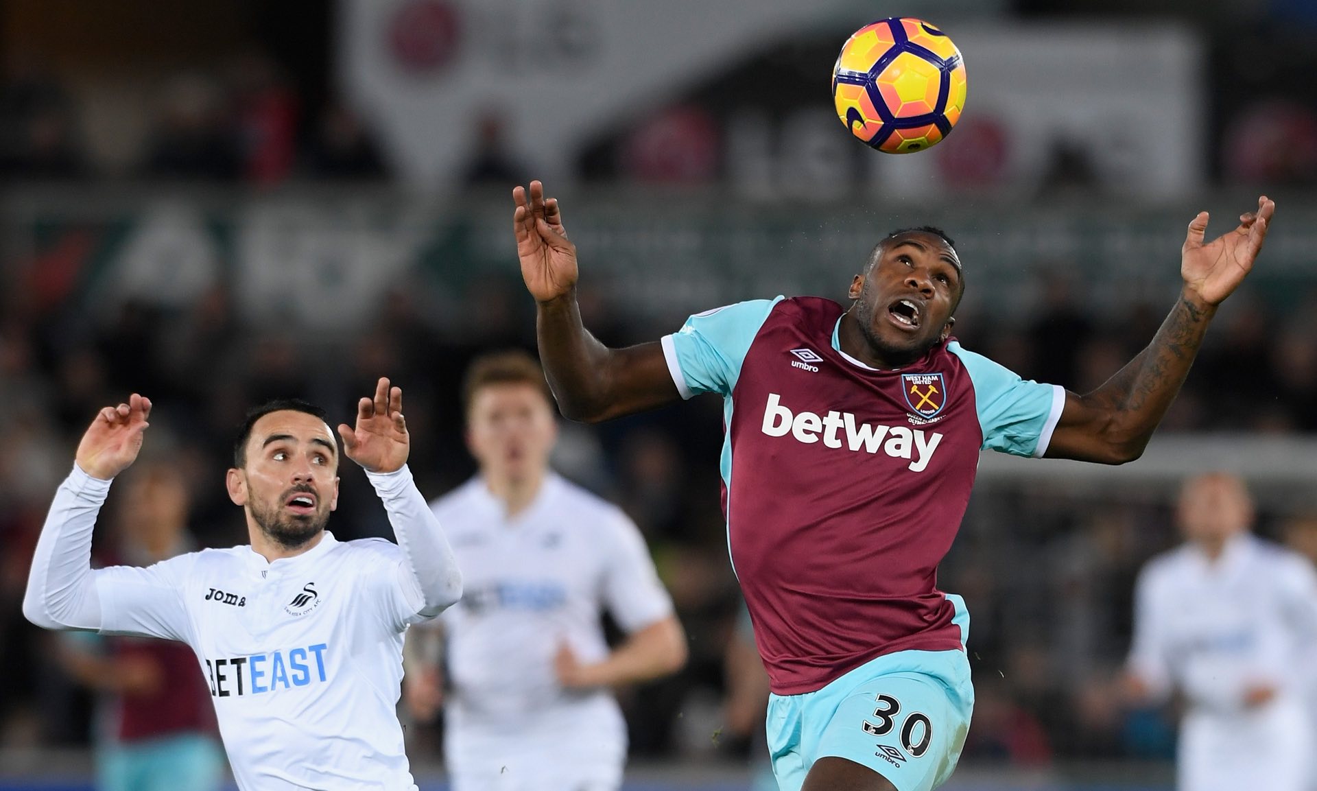 辈奥斯卡的 辈奥斯卡的